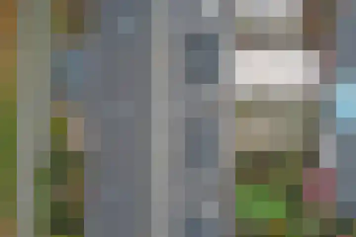 Eikendreef 61 Ridderkerk thumbnail 50