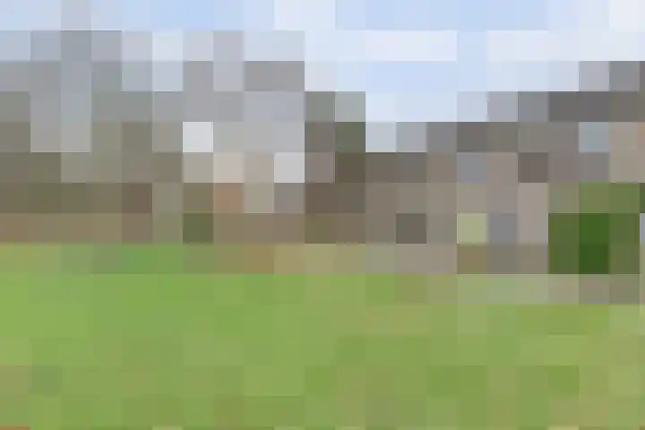 Eikendreef 61 Ridderkerk thumbnail 6