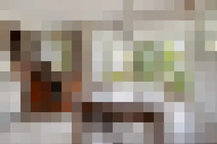 Eikendreef 73 Malden thumbnail 8
