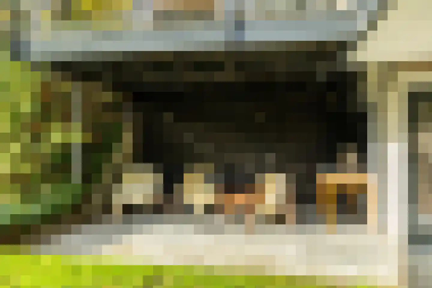 Eikenheuveldreef 7 Vught thumbnail 48