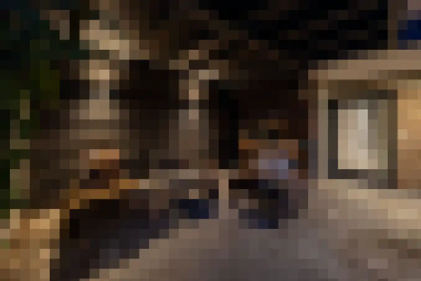 Eikenheuveldreef 7 Vught thumbnail 49