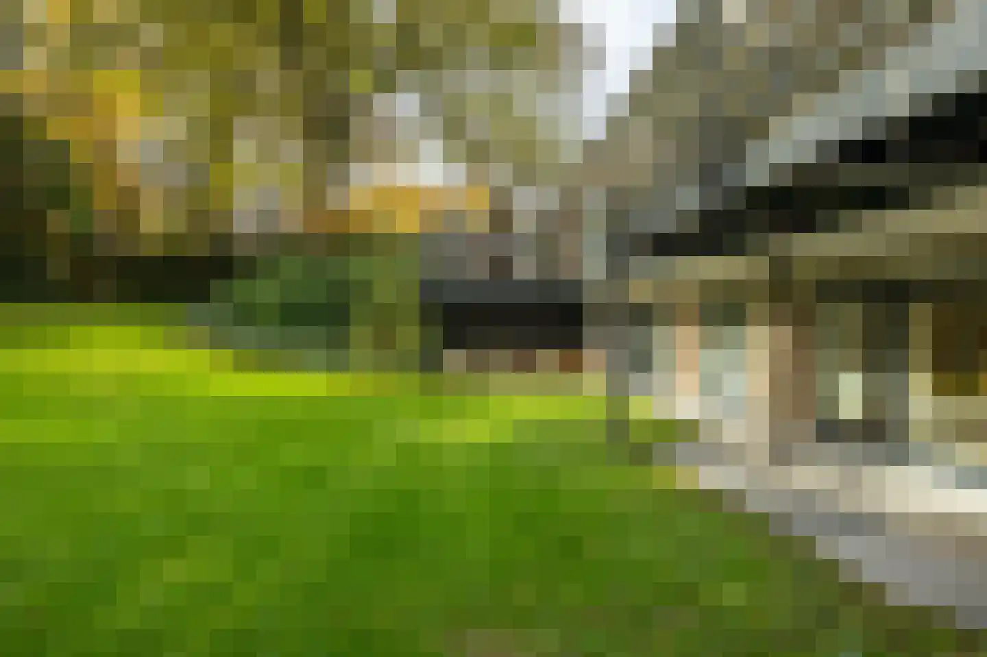 Eikenheuveldreef 7 Vught thumbnail 51