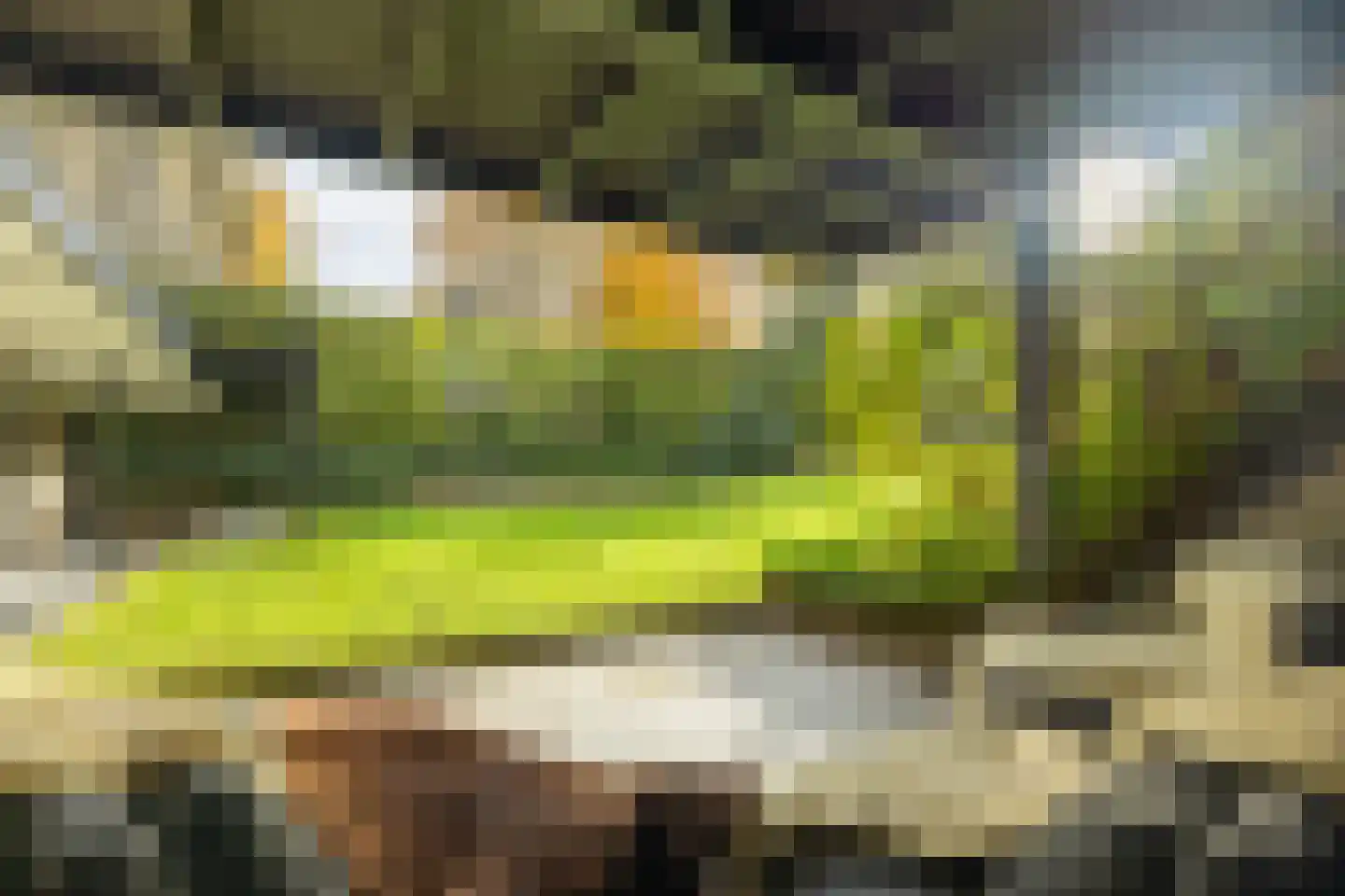Eikenheuveldreef 7 Vught thumbnail 53