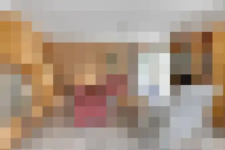 Eikenhorst 2 A Elsloo thumbnail 16
