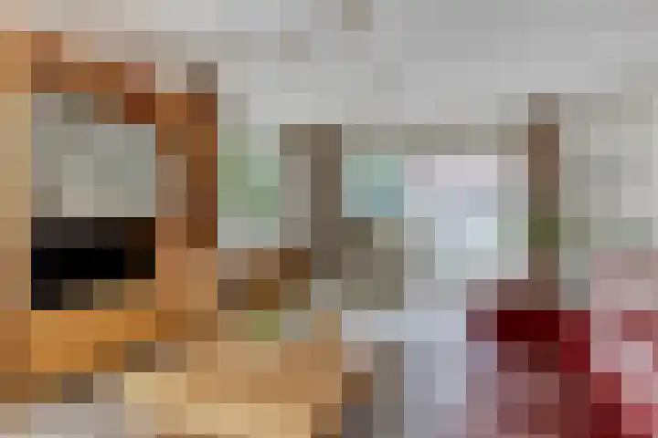 Eikenhorst 2 A Elsloo thumbnail 19