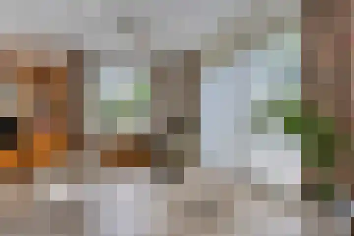 Eikenhorst 2 A Elsloo thumbnail 20