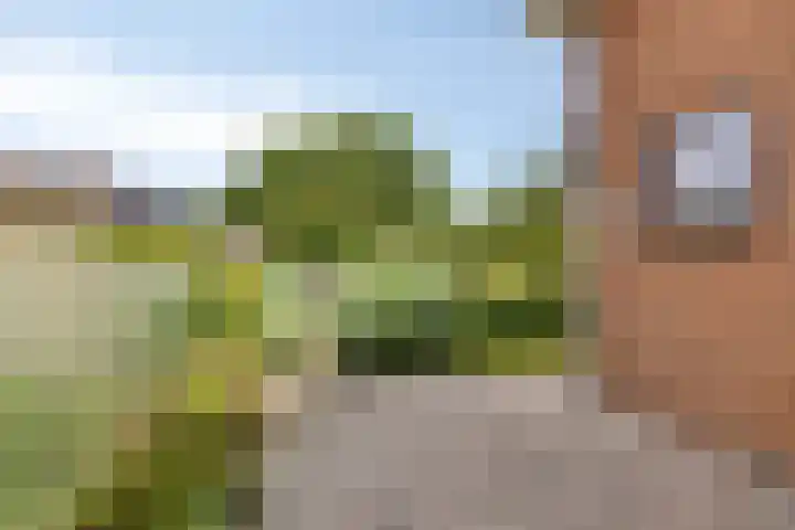 Eikenhorst 2 A Elsloo thumbnail 47