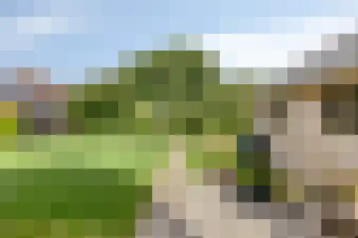 Eikenhorst 2 A Elsloo thumbnail 49
