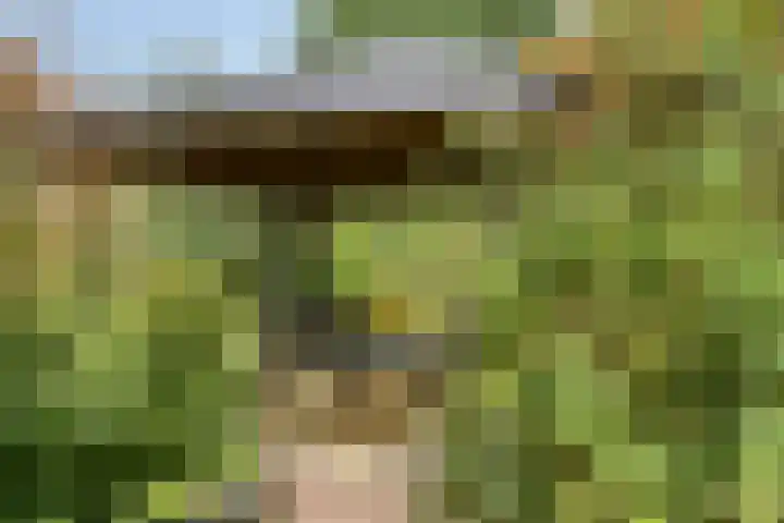 Eikenhorst 2 A Elsloo thumbnail 50
