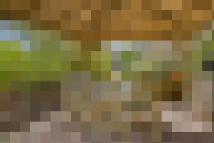 Eikenhorst 2 A Elsloo thumbnail 51