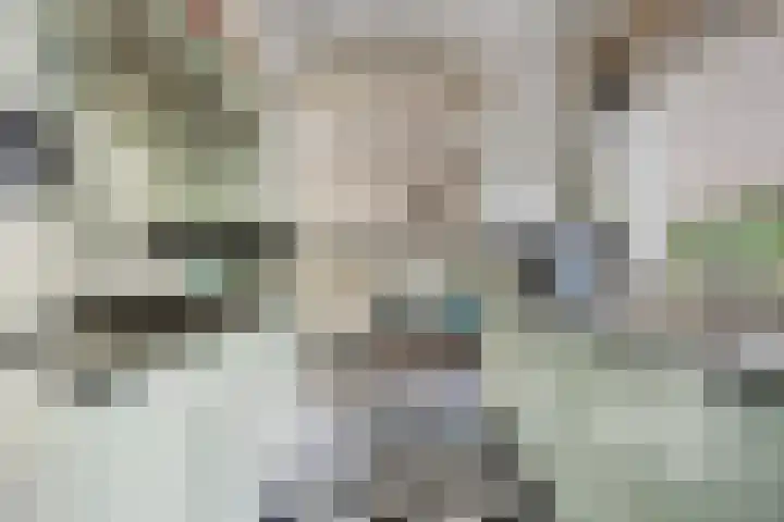 Eikenlaan 1 Koewacht thumbnail 15