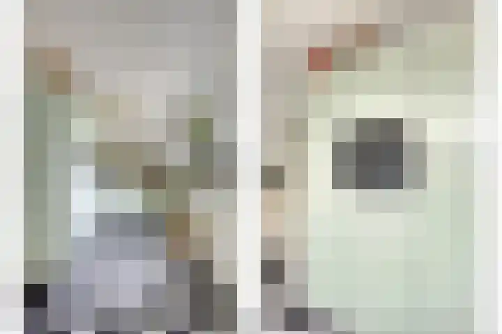 Eikenlaan 1 Koewacht thumbnail 17