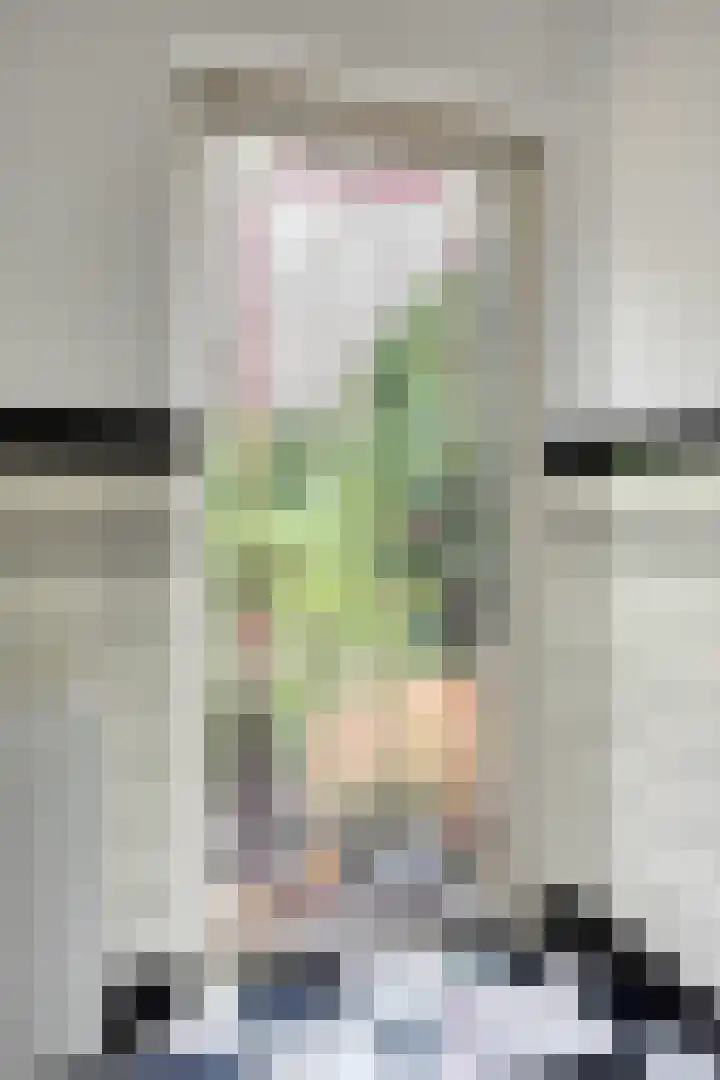 Eikenlaan 1 Koewacht thumbnail 24
