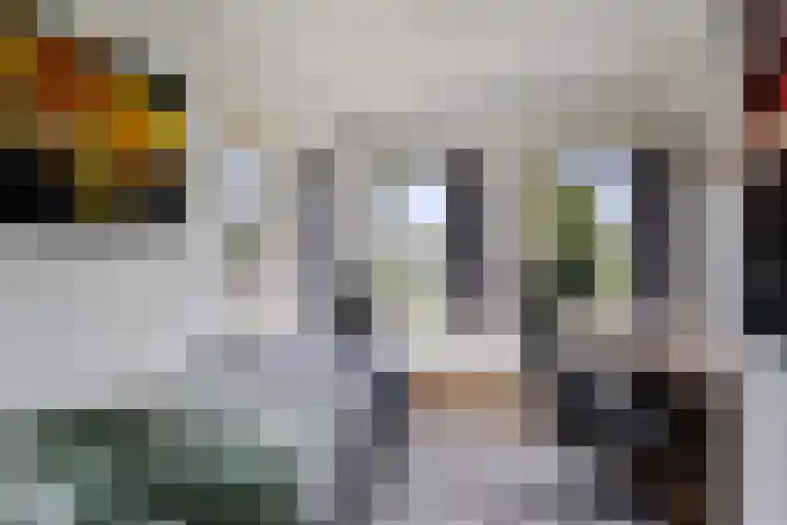 Eikenlaan 1 Koewacht thumbnail 33