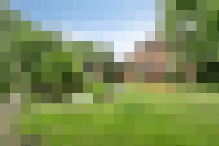 Eikenlaan 1 Koewacht thumbnail 40