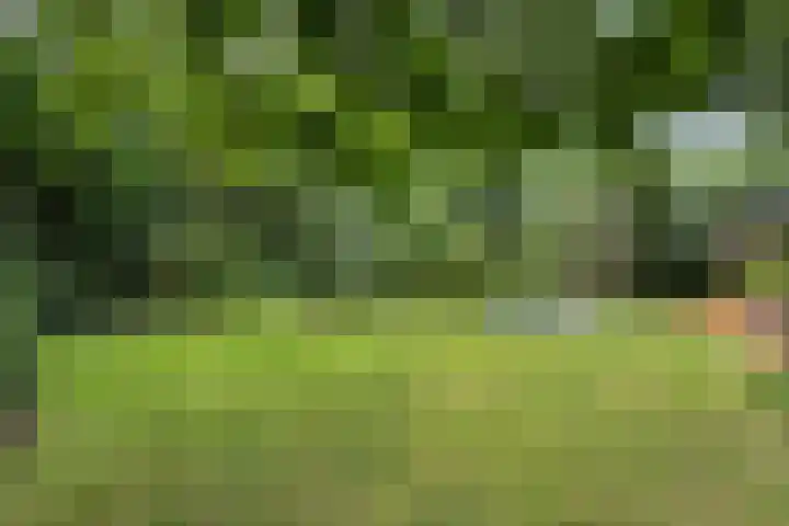 Eikenlaan 1 Koewacht thumbnail 47