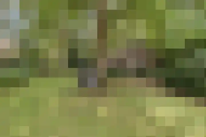 Eikenlaan 1 Koewacht thumbnail 50