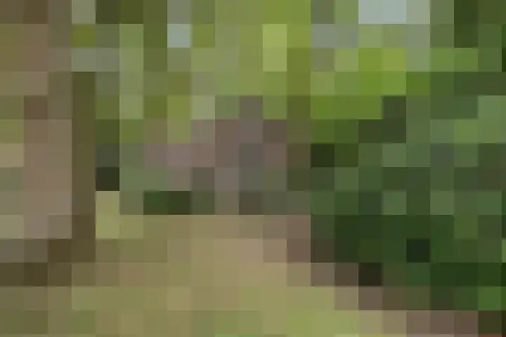 Eikenlaan 1 Koewacht thumbnail 51