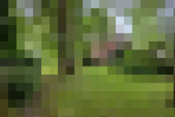 Eikenlaan 1 Koewacht thumbnail 53