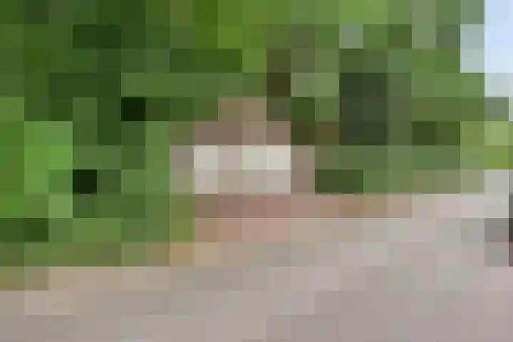 Eikenlaan 1 Koewacht thumbnail 54