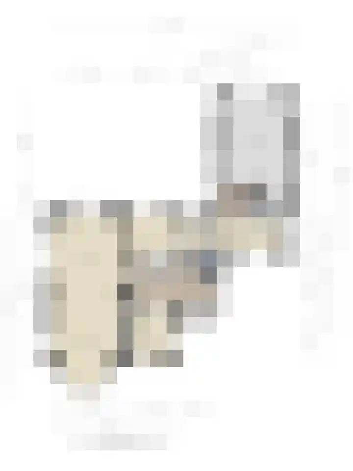 Eikenlaan 1 Koewacht thumbnail 57