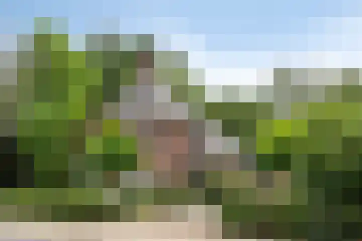 Eikenlaan 1 Koewacht thumbnail 64