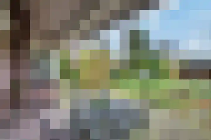 Eikenlaan 1 Woudrichem thumbnail 11