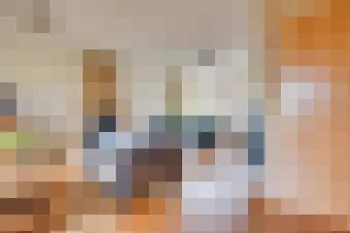 Eikenlaan 1 Woudrichem thumbnail 17
