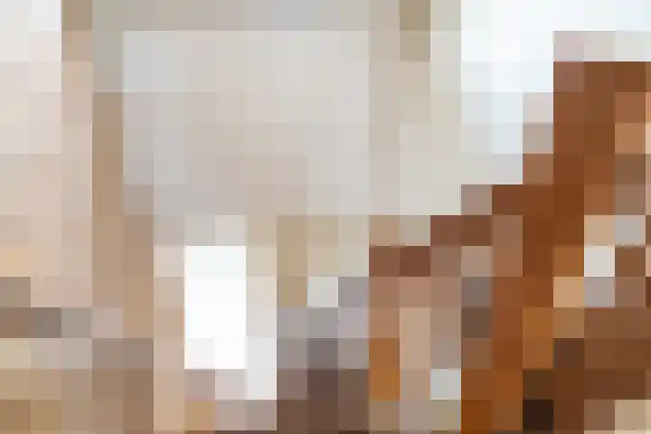 Eikenlaan 1 Woudrichem thumbnail 32