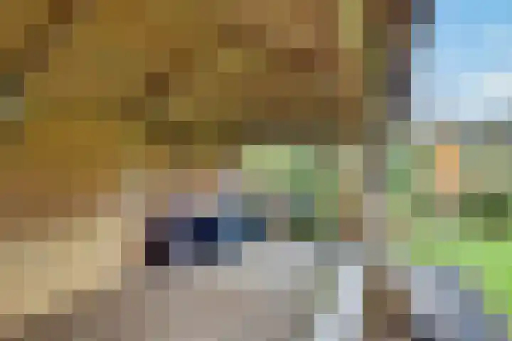 Eikenlaan 1 Woudrichem thumbnail 46