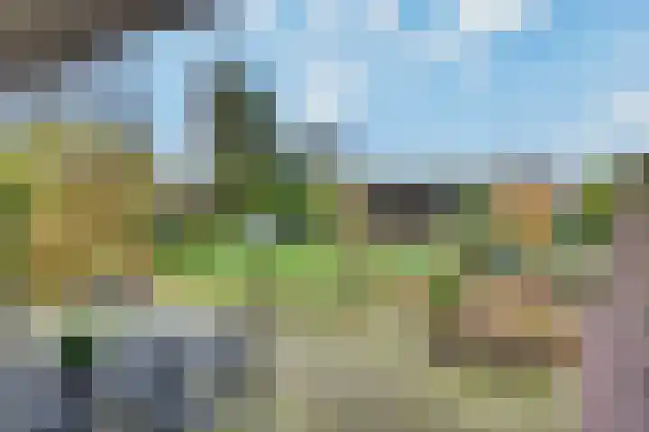 Eikenlaan 1 Woudrichem thumbnail 48