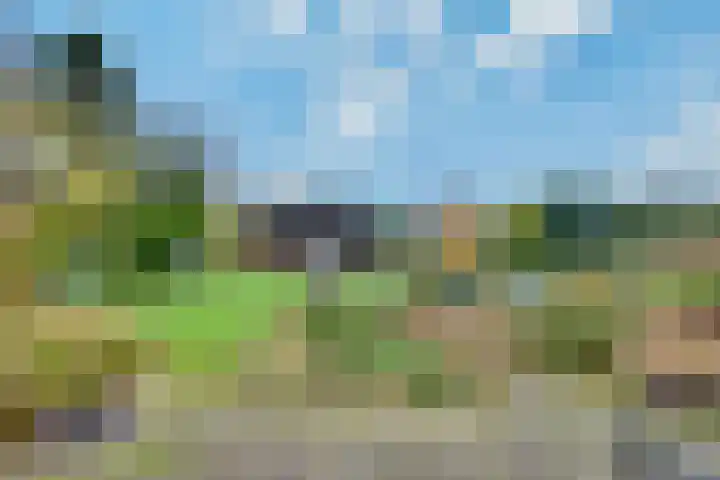 Eikenlaan 1 Woudrichem thumbnail 6