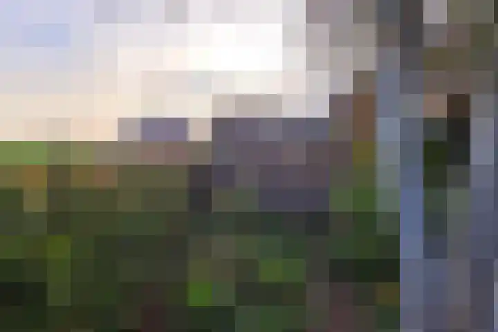 Eikenlaan 1 Woudrichem thumbnail 60