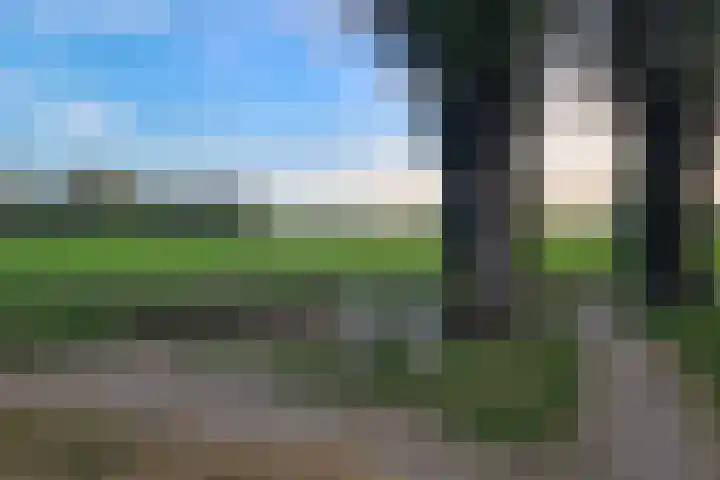 Eikenlaan 1 Woudrichem thumbnail 63