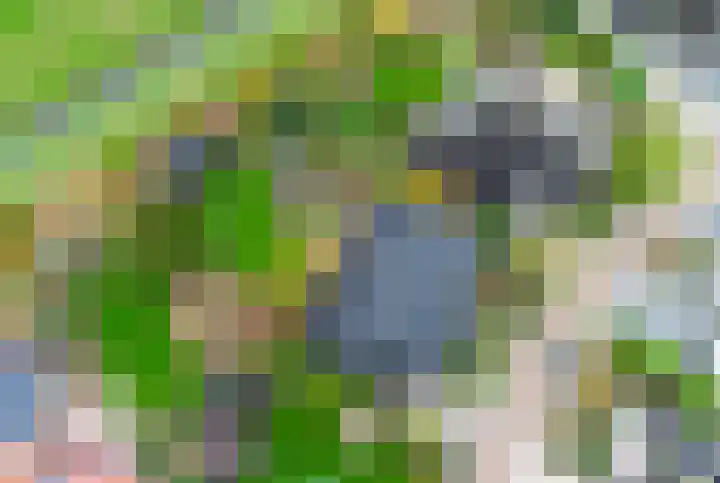 Eikenlaan 1 Woudrichem thumbnail 8