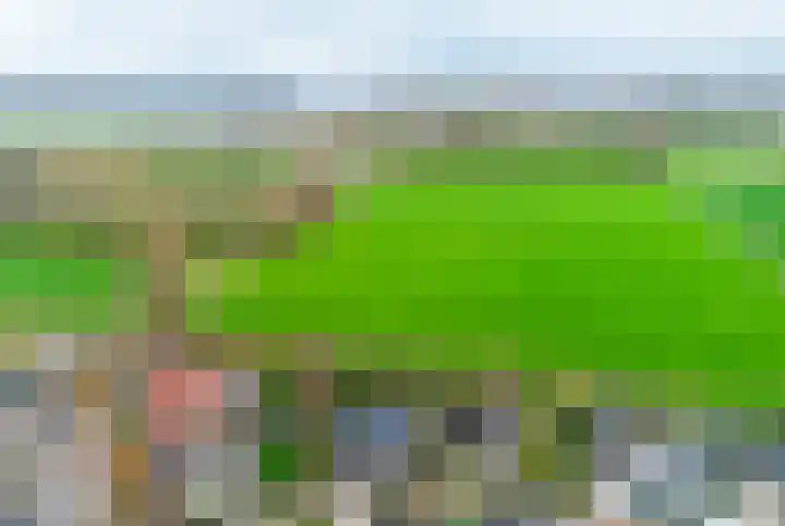 Eikenlaan 1 Woudrichem thumbnail 9