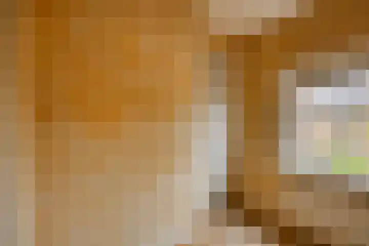Eikenlaan 10 Leende thumbnail 29