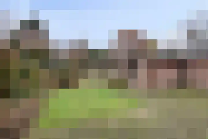 Eikenlaan 10 Leende thumbnail 32