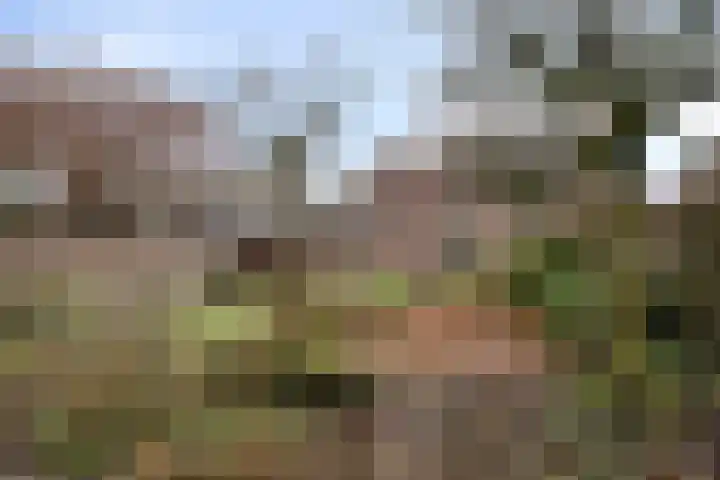 Eikenlaan 10 Leende thumbnail 33