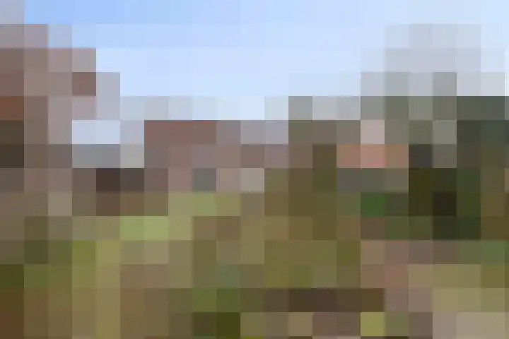 Eikenlaan 10 Leende thumbnail 34