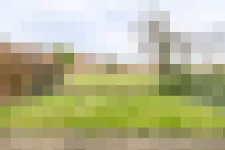 Eikenlaan 112 Hillegom thumbnail 16
