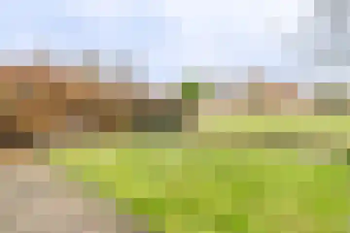 Eikenlaan 112 Hillegom thumbnail 17