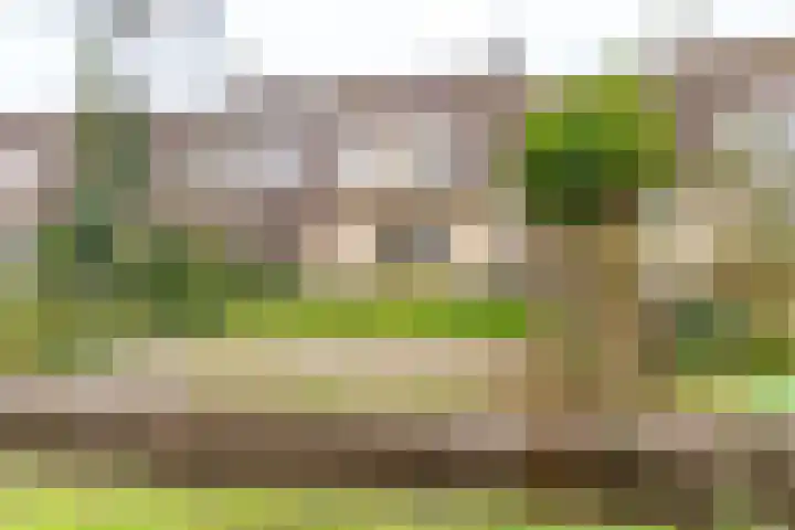 Eikenlaan 112 Hillegom thumbnail 39