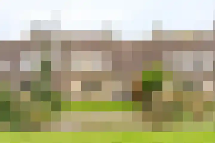 Eikenlaan 112 Hillegom thumbnail 40