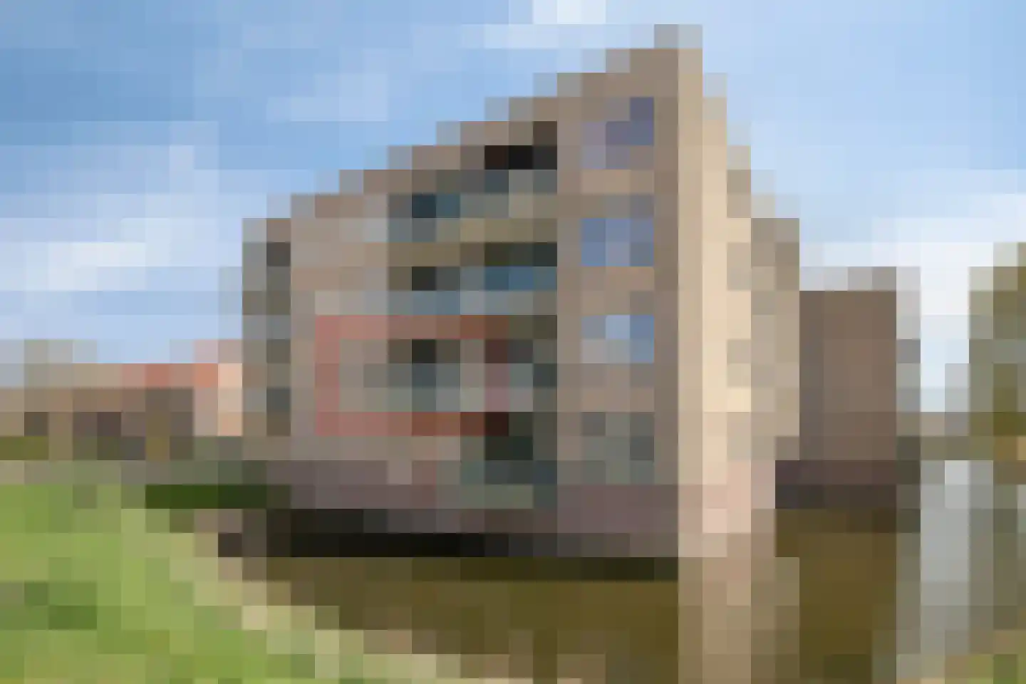 Eikenlaan 12 Hillegom thumbnail 28