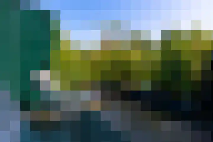 Eikenlaan 14 Doorn thumbnail 19