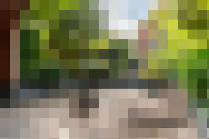 Eikenlaan 14 Doorn thumbnail 28