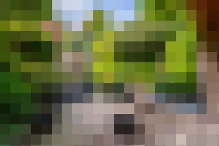 Eikenlaan 14 Doorn thumbnail 29