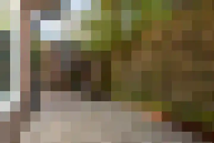 Eikenlaan 14 Doorn thumbnail 32
