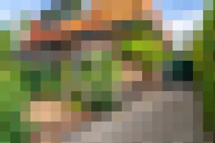 Eikenlaan 14 Doorn thumbnail 33